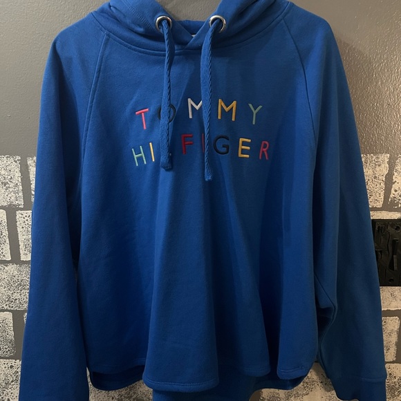 Tommy Hilfiger Blue Cotton Men Hoodie